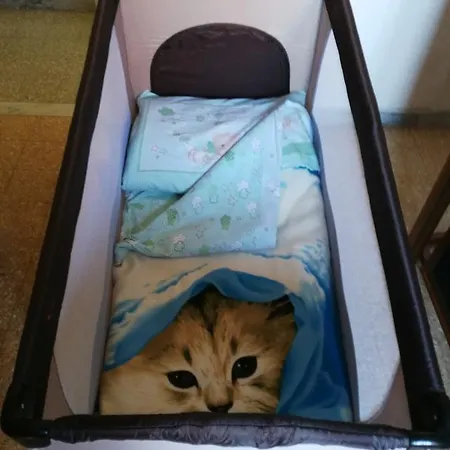 I Due Baroni - Fronte Campus Nocleg ze śniadaniem 3*